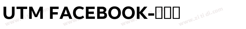 UTM FACEBOOK字体转换